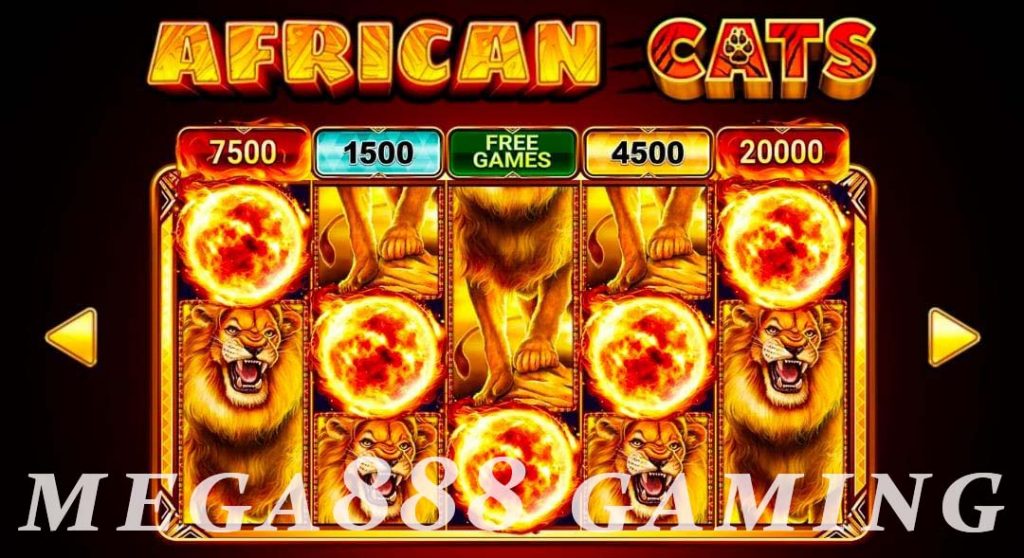 African cats